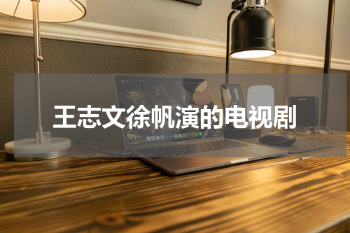 王志文徐帆演的电视剧