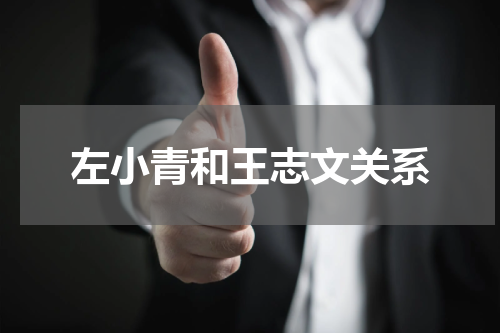左小青和王志文关系