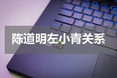 陈道明左小青关系