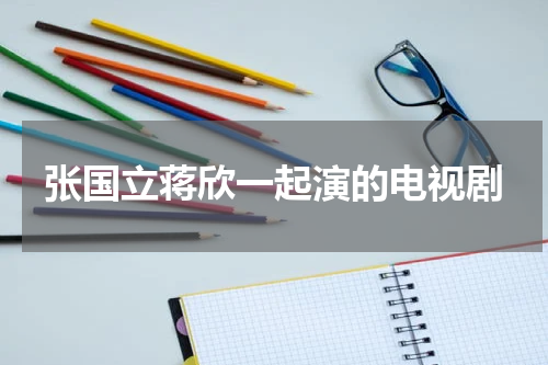 张国立蒋欣一起演的电视剧