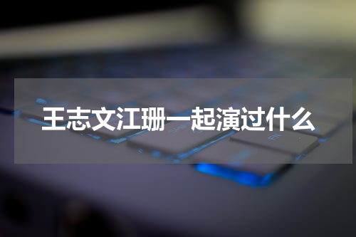 王志文江珊一起演过什么