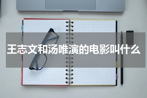 王志文和汤唯演的电影叫什么