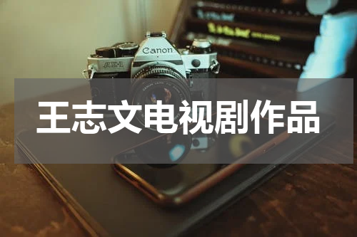 王志文电视剧作品