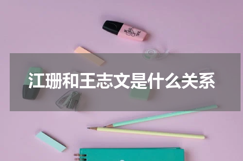 江珊和王志文是什么关系