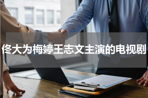 佟大为梅婷王志文主演的电视剧