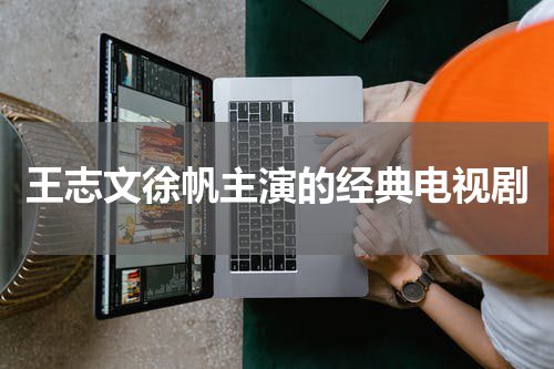 王志文徐帆主演的经典电视剧