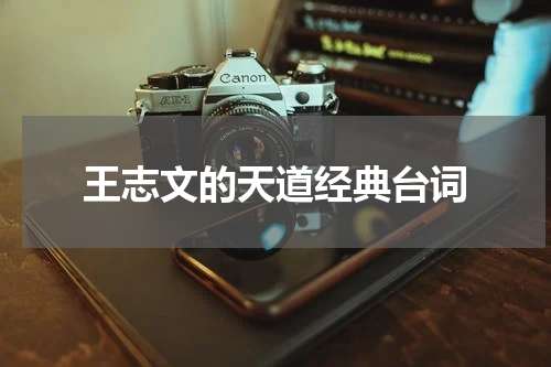王志文的天道经典台词