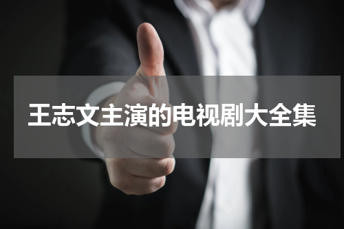 王志文主演的电视剧大全集