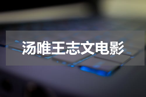 汤唯王志文电影