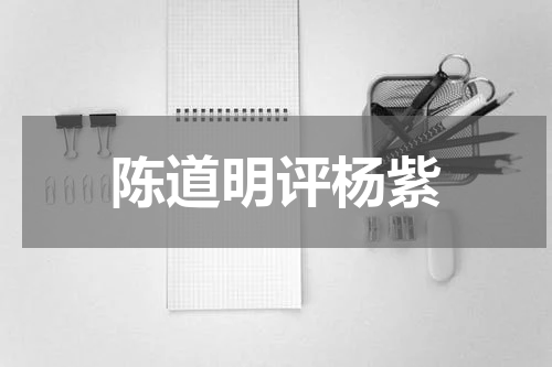 陈道明评杨紫