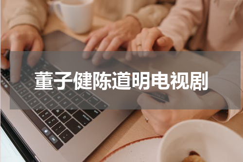 董子健陈道明电视剧