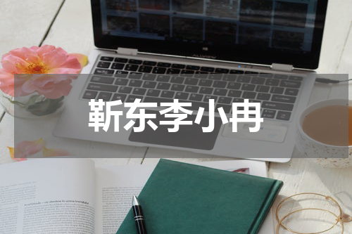 靳东李小冉