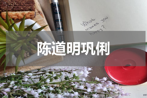 陈道明巩俐