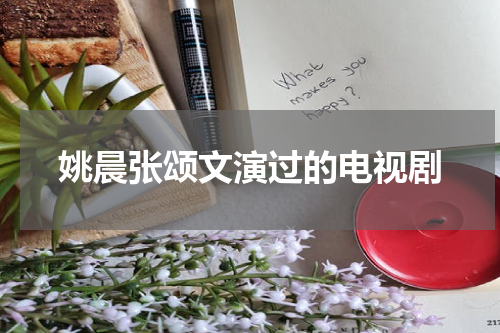 姚晨张颂文演过的电视剧