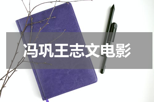 冯巩王志文电影