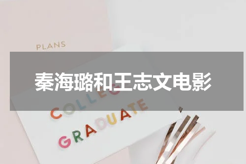 秦海璐和王志文电影