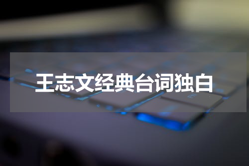 王志文经典台词独白