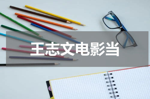 王志文电影当