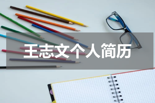 王志文个人简历