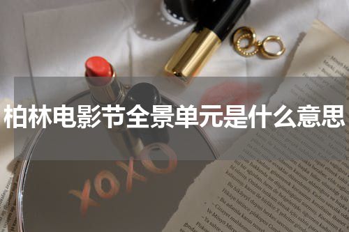 柏林电影节全景单元是什么意思