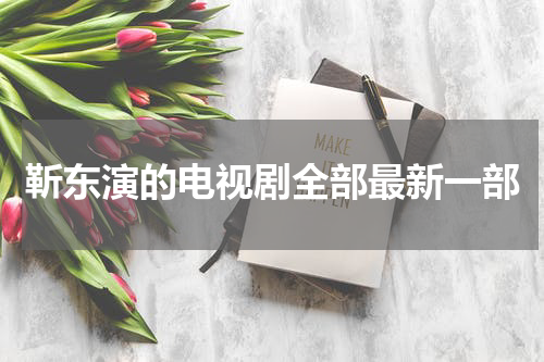 靳东演的电视剧全部最新一部