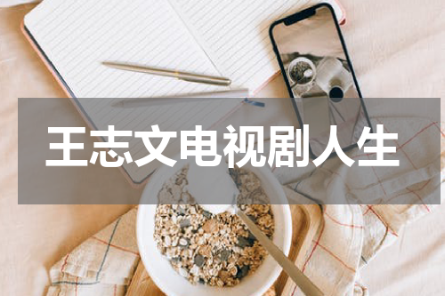 王志文电视剧人生