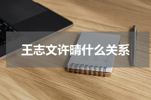 王志文许晴什么关系