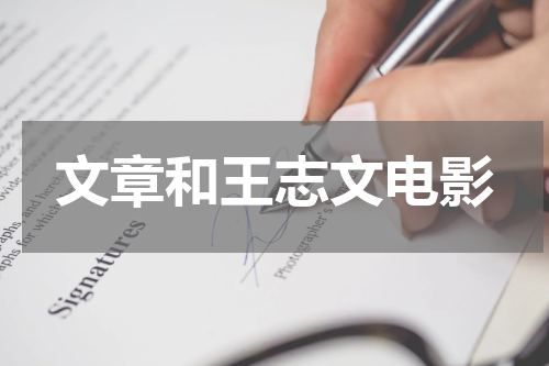 文章和王志文电影