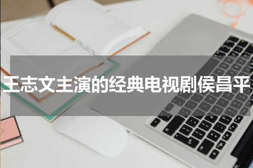 王志文主演的经典电视剧侯昌平