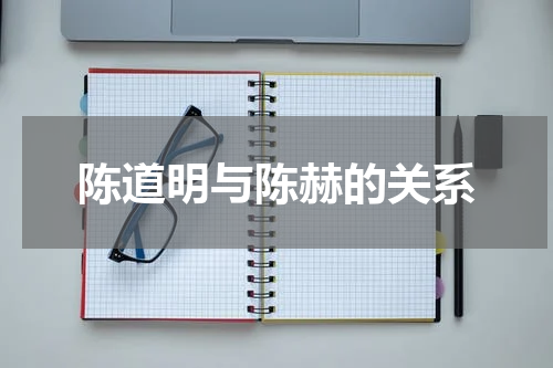 陈道明与陈赫的关系
