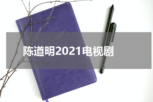 陈道明2021电视剧