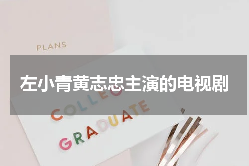 左小青黄志忠主演的电视剧
