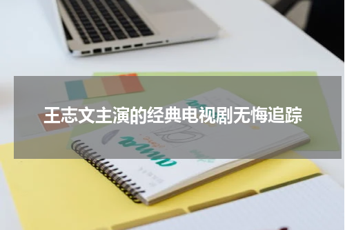 王志文主演的经典电视剧无悔追踪
