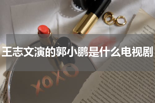 王志文演的郭小鹏是什么电视剧
