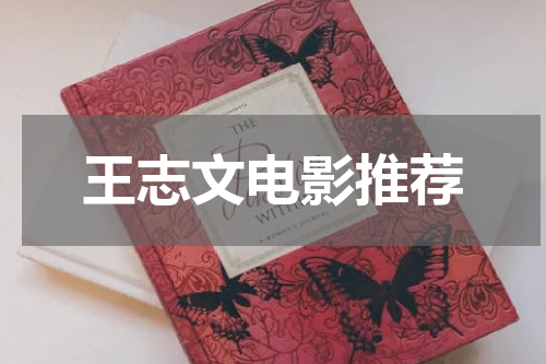 王志文电影推荐