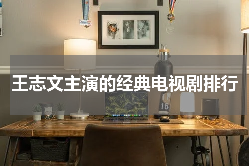 王志文主演的经典电视剧排行