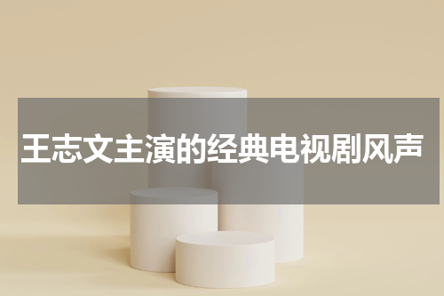 王志文主演的经典电视剧风声