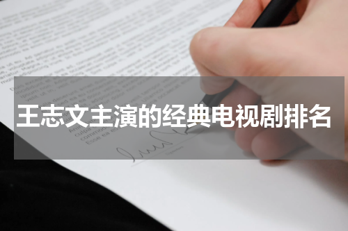 王志文主演的经典电视剧排名