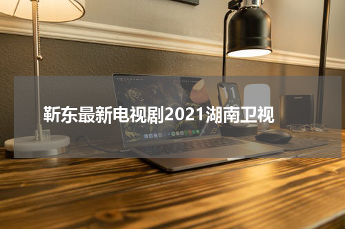 靳东最新电视剧2021湖南卫视