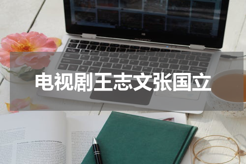 电视剧王志文张国立