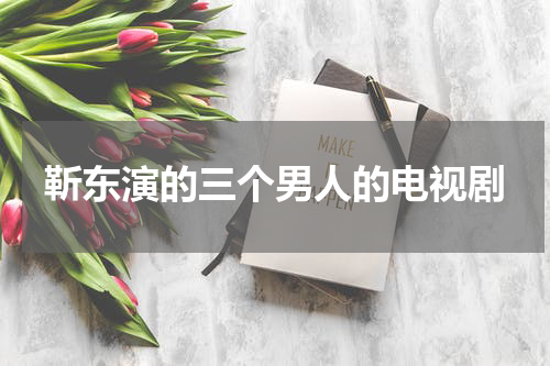 靳东演的三个男人的电视剧