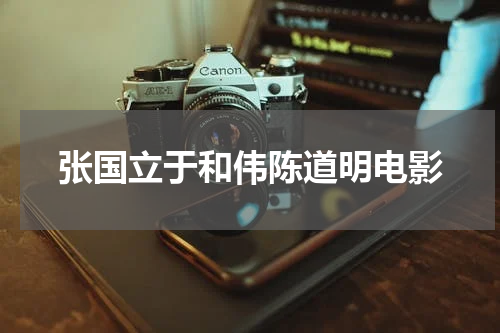 张国立于和伟陈道明电影