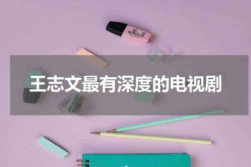 王志文最有深度的电视剧