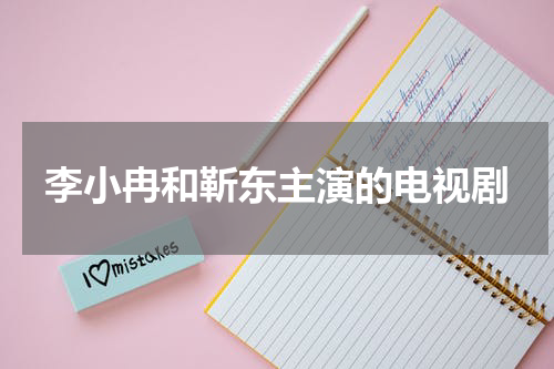 李小冉和靳东主演的电视剧