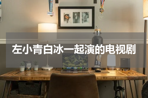 左小青白冰一起演的电视剧