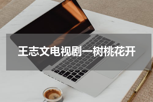 王志文电视剧一树桃花开