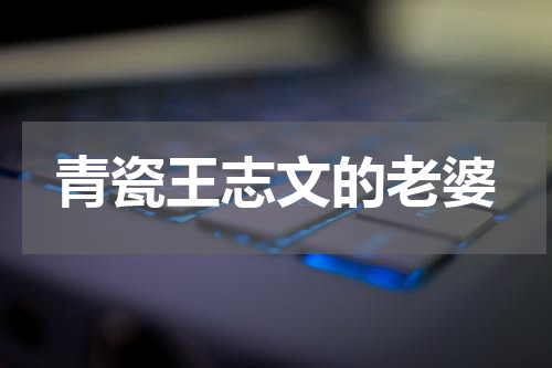 青瓷王志文的老婆