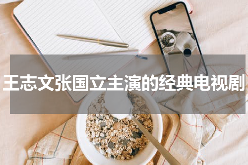 王志文张国立主演的经典电视剧