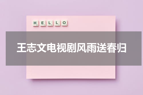 王志文电视剧风雨送春归