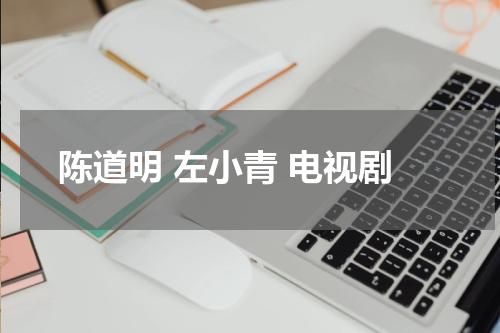陈道明 左小青 电视剧